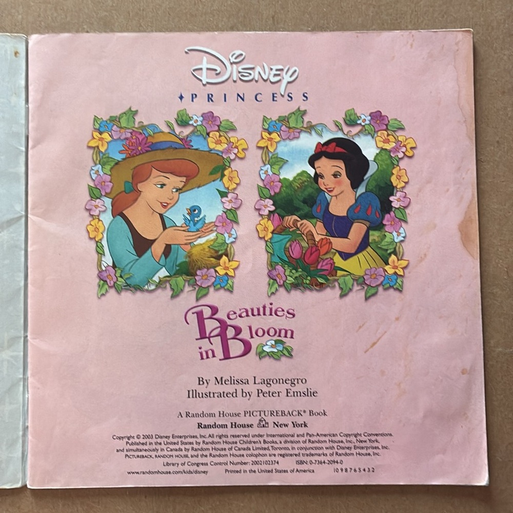 Set of three Disney princess books 1 hardcover 2 paperback - Picture 14 of 16